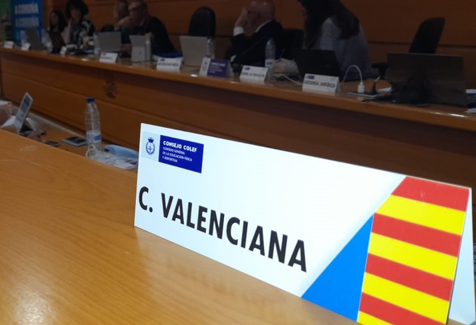 El Colef CV se trasladó el pasado fin de semana a La Coruña para participar en el XCVI Pleno del Consejo General Colef.